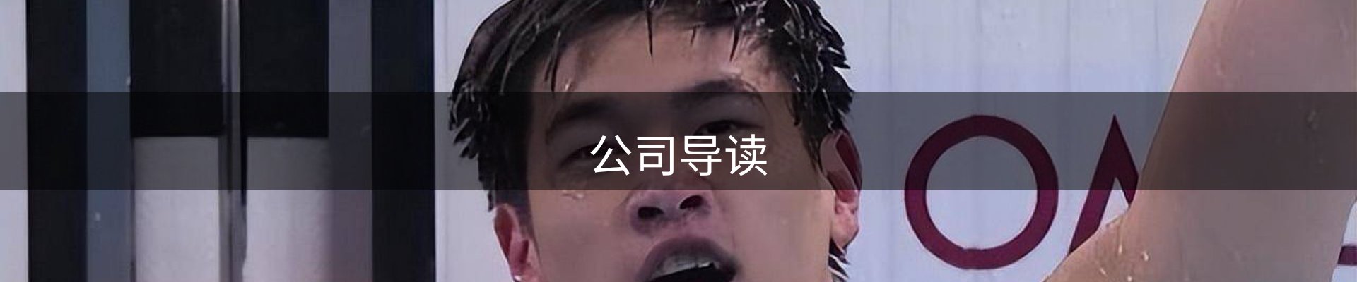公司导读